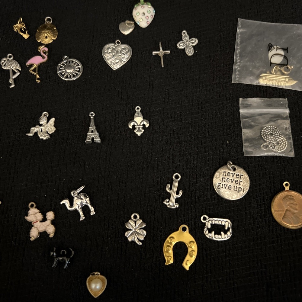 Mixed Charm Lot Jewelry Animals Beach Tropical Paris Fairy Cruise Ship Craft Lot - Picture 3 of 16
